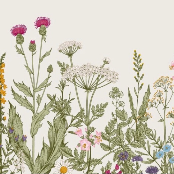 🖤 Meet your posher, Tiffany Alyce 🖤 - Picture 9 of 9